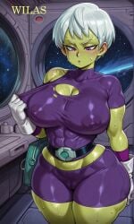 cheelai from dragon ball by wilas
