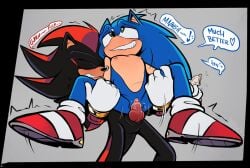 andromorph anthro anthro_on_anthro carrying_partner cuntboy cuntboy/male fucking furry male male/cuntboy male_penetrating_male nipples penis pussy sex shaddycatz shadow_the_hedgehog sonic_(series) sonic_the_hedgehog sonic_the_hedgehog_(series) vaginal_penetration vaginal_sex