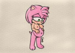 amy_rose breasts egotapenyaku female furry nude nude_female pregnant pussy sonic_(series) sonic_the_hedgehog_(series)