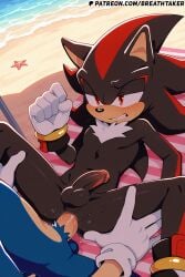 ai_generated anal anal_sex ass beach black_body black_fur blue_body blue_fur breathtaker furry furry_male furry_only gay gay_sex gloves green_eyes hi_res male_only red_eyes sex shadow_the_hedgehog sonadow sonic_(series) sonic_the_hedgehog sonic_the_hedgehog_(series) yaoi