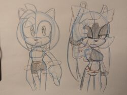 amy_rose female knightnight54 sega sonic_(series) surge_the_tenrec traditional_media_(artwork)