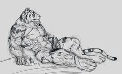 1boy anthro erection feline fur furry male male_only penis rwolf solo tiger