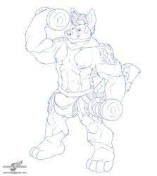 1boy abs anthro blue_and_white bulge canine fur furry looking_at_viewer male male_only monochrome muscles nipples plain_background smile solo weight weightlifting weights white_background wolfblade