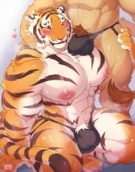 anthro barazoku big_muscles blush bodily_fluids body_hair bulge clothing duo felid giraffe_(artist) hand_on_head heart_symbol hi_res lam-chan lion lion-san male male/male mammal mostly_nude muscular pantherine pubes speedo steam sweat sweatdrop swimwear tiger