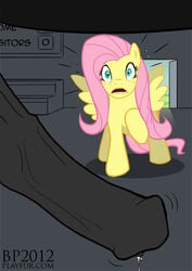 bhavfox equine fluttershy_(mlp) friendship_is_magic horse my_little_pony penis pink_hair smooth_skin tagme