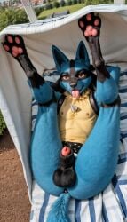 ai_generated anthro anus ass ass_up asshole balls blep blue_fur bottom canine canine canine_genitalia canine_penis covering femboy fur furry fuzzy lipstick looking_at_viewer lucario male nipples outdoors pawpads paws penis pokemon presenting presenting_hindquarters realistic sheath sticking_out_tongue tounge_out